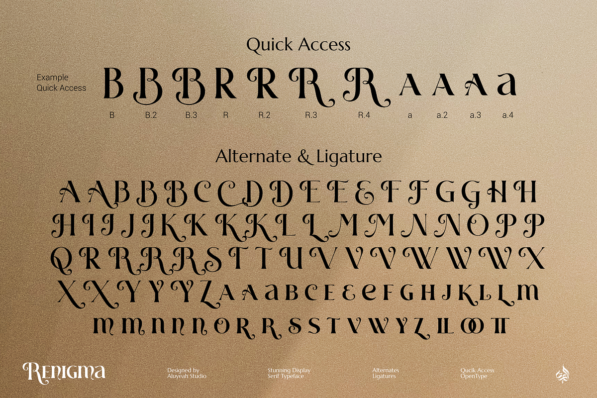 Renigma, a Serif Font by Aluyeah Studio (Photo 15 of 15)
