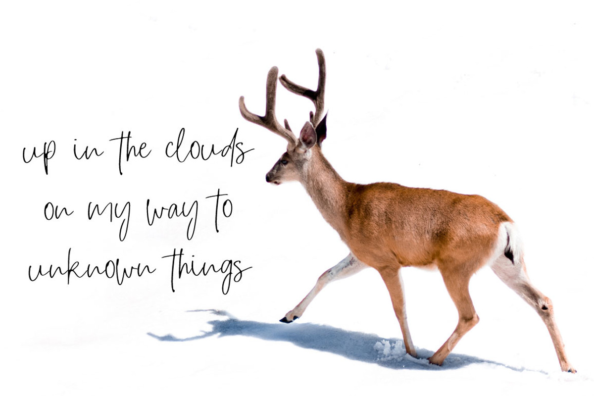 Roadtrip | Handwritten Font preview 6