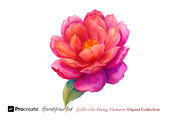 Watercolor Peony Flowers Clipart, an Object Illustration by crafty (Thumbnail 2 of 10)