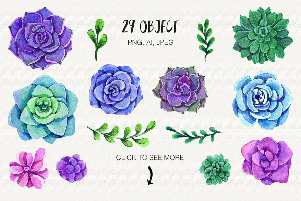 Watercolor Succulent Collection, an Object Illustration by Olga Alexeenko (Photo 2 of 7)