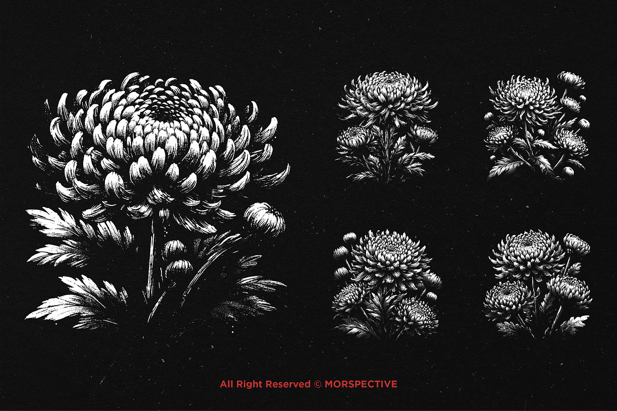 10 Bundle Dark Art Chrysan Flower, an Illustration by Morspective (Photo 3 of 7)