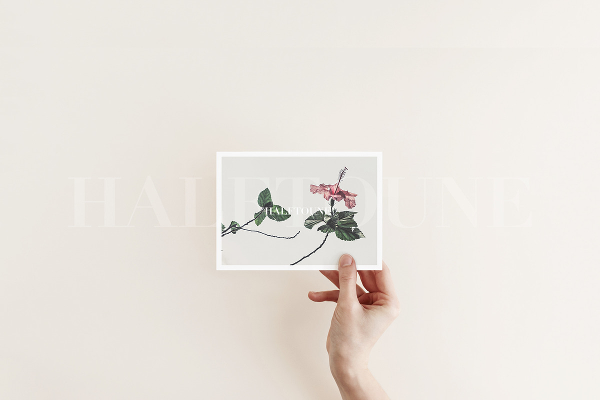 Minimalist Blank Card Mockup #2, a Mockup by HALFTOUNE (Photo 2 of 6)