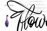 Without Lettering Brushes. Procreate, a Brush Add-On by Diacritics (Thumbnail 8 of 15)