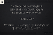 Alpas & Snarf font duo, a Font by Only Fonts (Thumbnail 8 of 11)