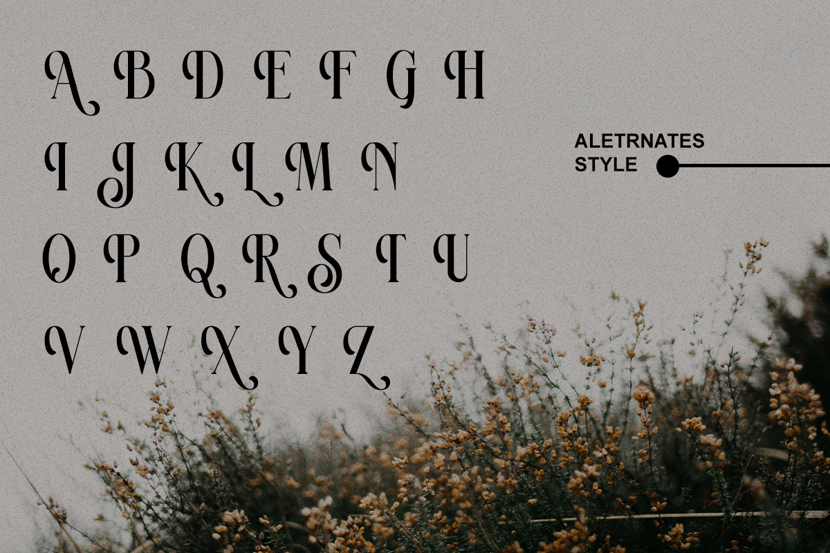 Ravsten - Stylish Serif Font, a Serif Font by RagamKata (Photo 11 of 11)