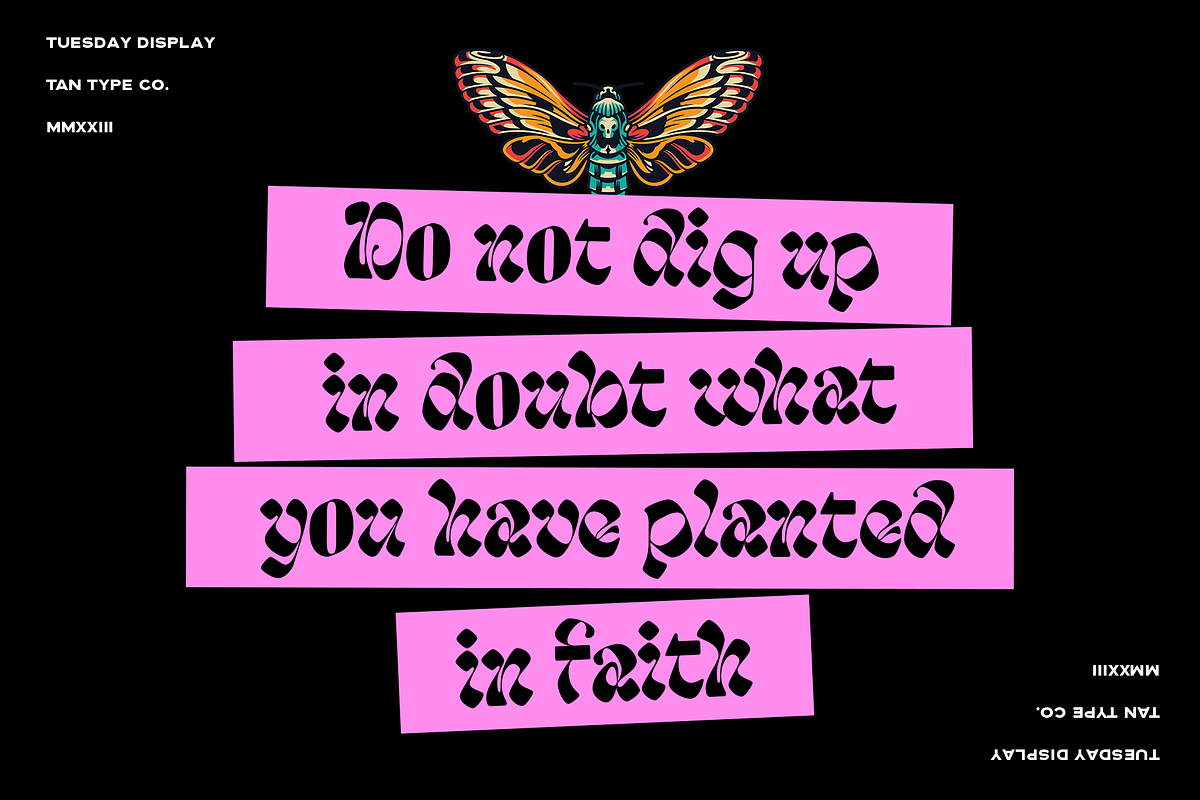 TAN - TUESDAY, a Font by TanType