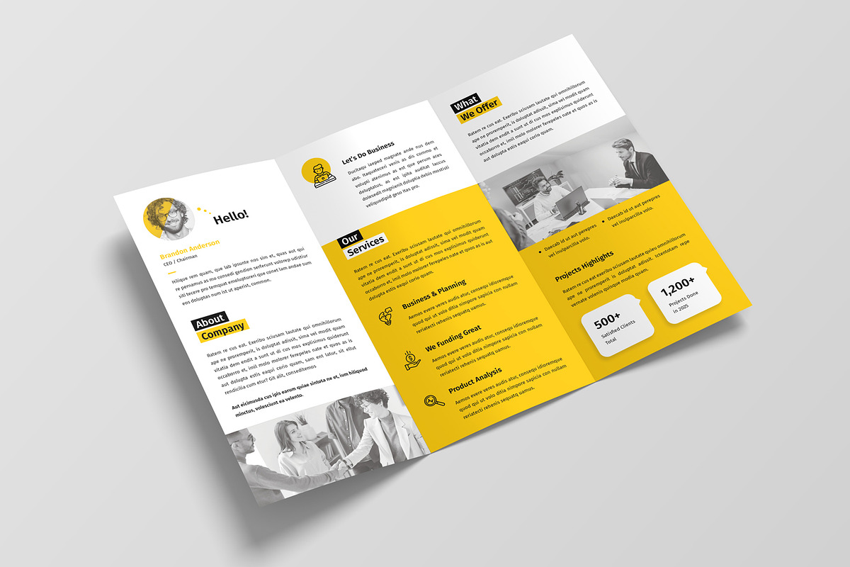 Trifold Brochure preview 3