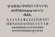 Mathilga Ligature Serif Typeface, a Serif Font by Storytype Studio (Thumbnail 14 of 15)