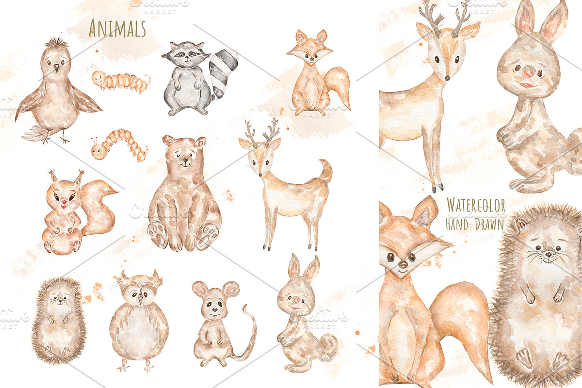 Cute Woodland Friends Collection, an Animal Illustration by MayaNavits (Photo 3 of 12)