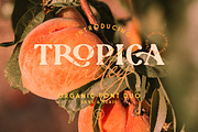 Tropica Gardens - Font Trio (+LOGOS), a Script Font by Sarid Ezra (Thumbnail 19 of 19)