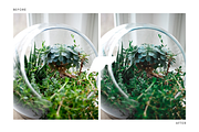 Shamrock Lightroom Presets Instagram, an Action Add-On by Filtercrave (Thumbnail 3 of 8)