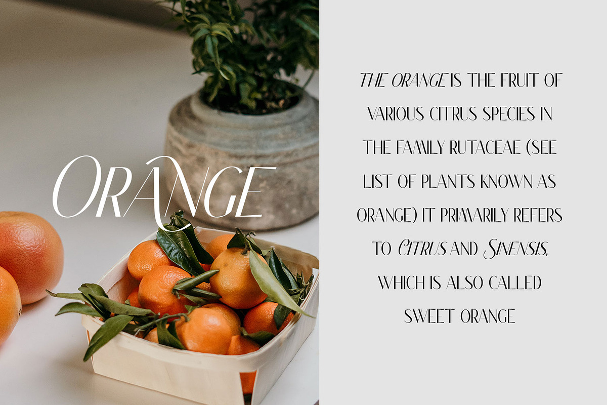 Classy Brune Sans Serif  Typeface, a Sans Serif Font by Typetemp Studio (Photo 13 of 21)