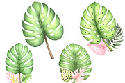 Watercolor Tropical Animals Clipart, an Illustration by Designworld (Thumbnail 3 of 5)