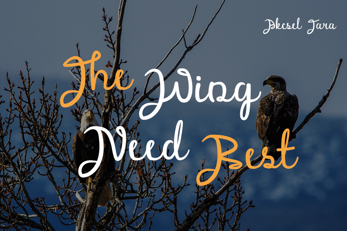 Malpisto - Stylish Script Font, a Script Font by Akcsel Tara (Photo 3 of 12)