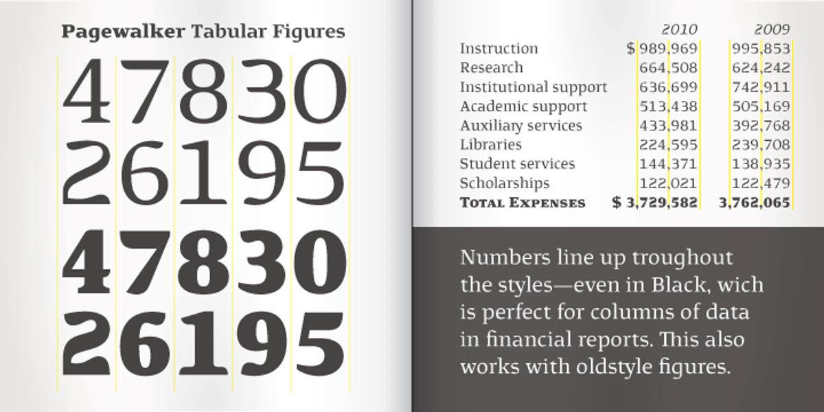 Pagewalker, a Serif Font by Kostic Type Foundry (Photo 8 of 10)