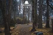 Moody Lightroom Presets, an Action Add-On by Lavinsky Art Store (Thumbnail 5 of 10)