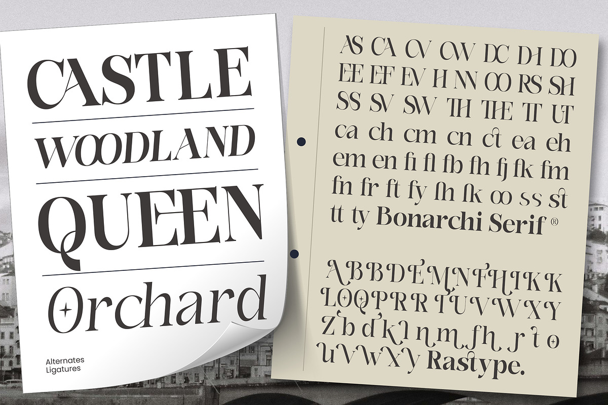 Bonarchi - Family Font, a Serif Font by Rastype (Photo 4 of 10)
