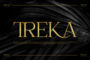 Treka || Modern Serif Font, a Serif Font by Ermedia Studio (Thumbnail 1 of 10)