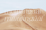 Frunchy Sage - Modern Serif Family, a Serif Font by Sans & Sons (Thumbnail 8 of 11)
