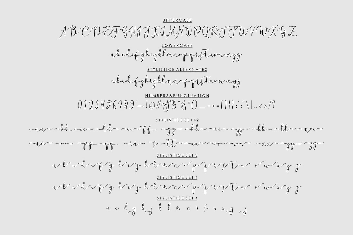 Chastum Script, a Script Font by moriztype (Photo 6 of 6)