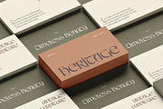 Cartius, a Serif Font by Burntilldead (Thumbnail 9 of 12)