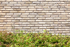 Brick wall background, an Architecture Photo by BOOCYS