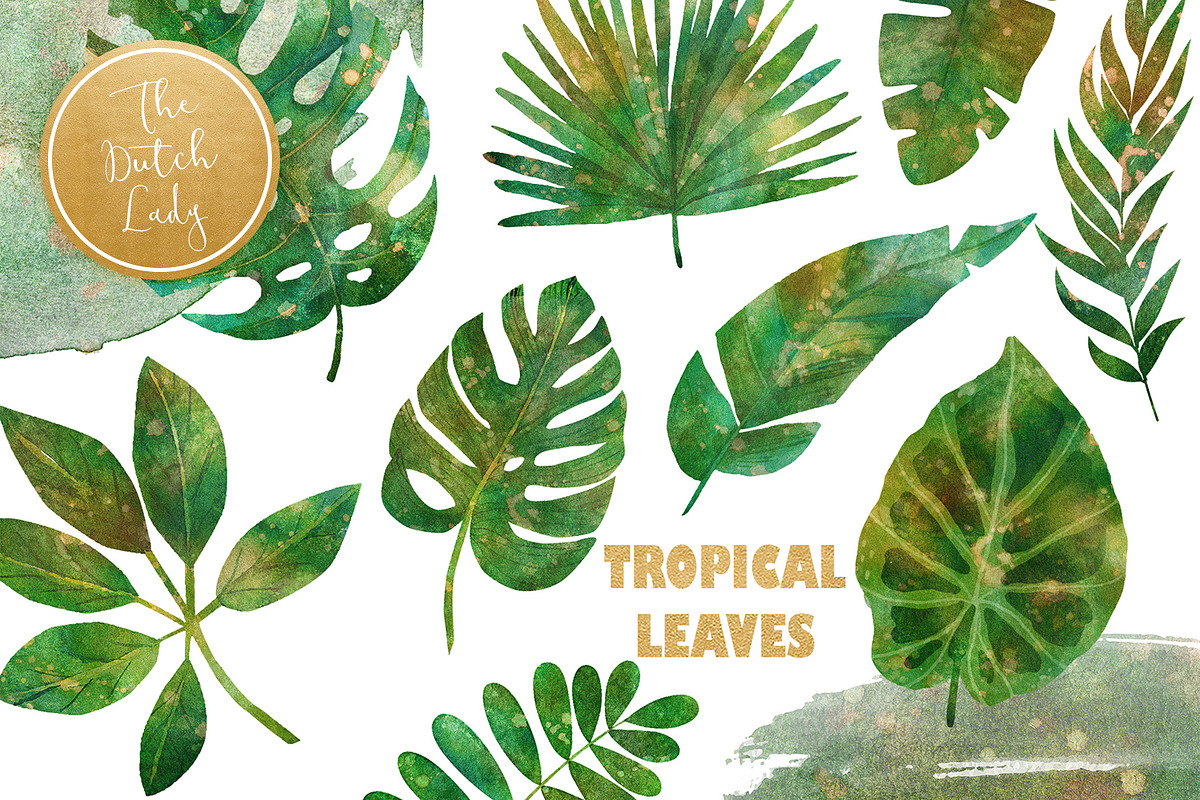 Tropical Jungle Leaves Clipart Set, an Illustration by The Dutch Lady ...