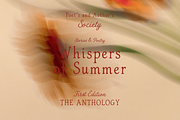 The Sunny Field Font Duo, a Script Font by Creacy Studio (Thumbnail 8 of 10)