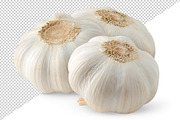 Garlic heads, an Object Graphic by Fruits+Veggies (Thumbnail 4 of 5)