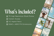 75 Aesthetic Summer Stock Photos, a Holiday Photo by Incomelion (Thumbnail 2 of 6)