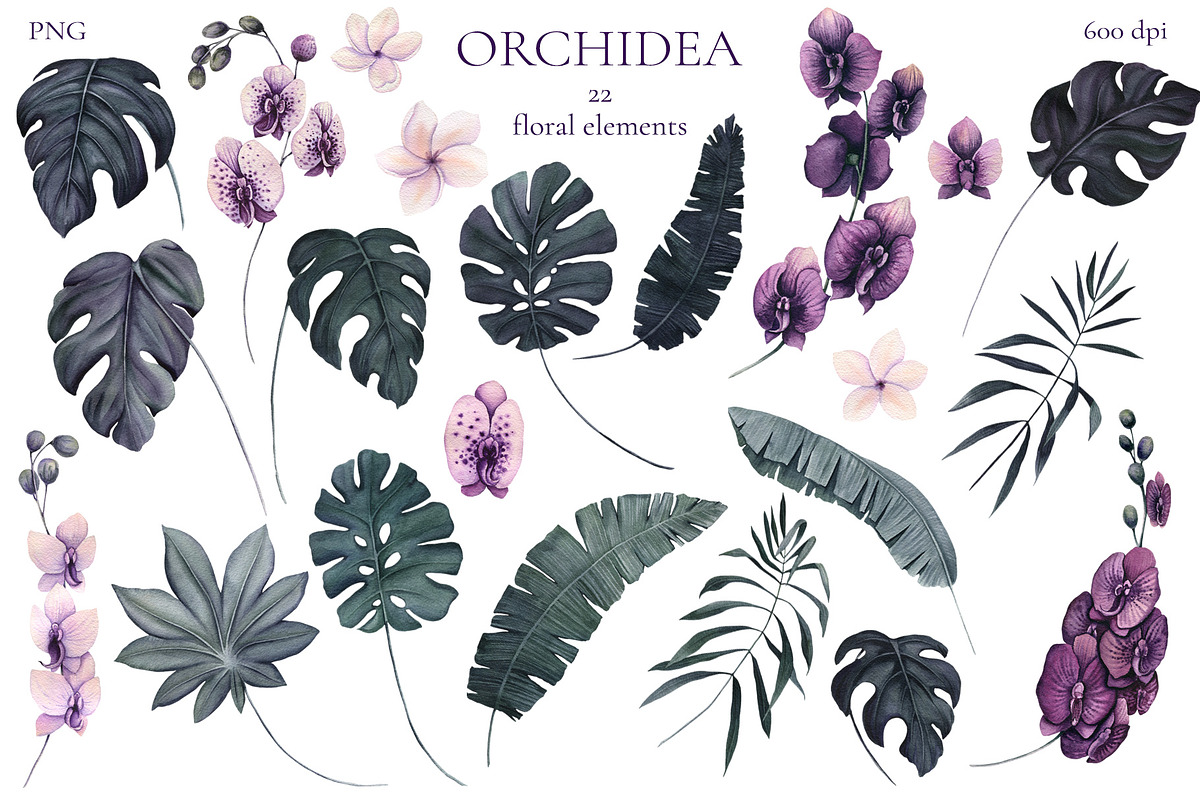 Orchidea, an Illustration by Salted Galaxy (Photo 6 of 11)