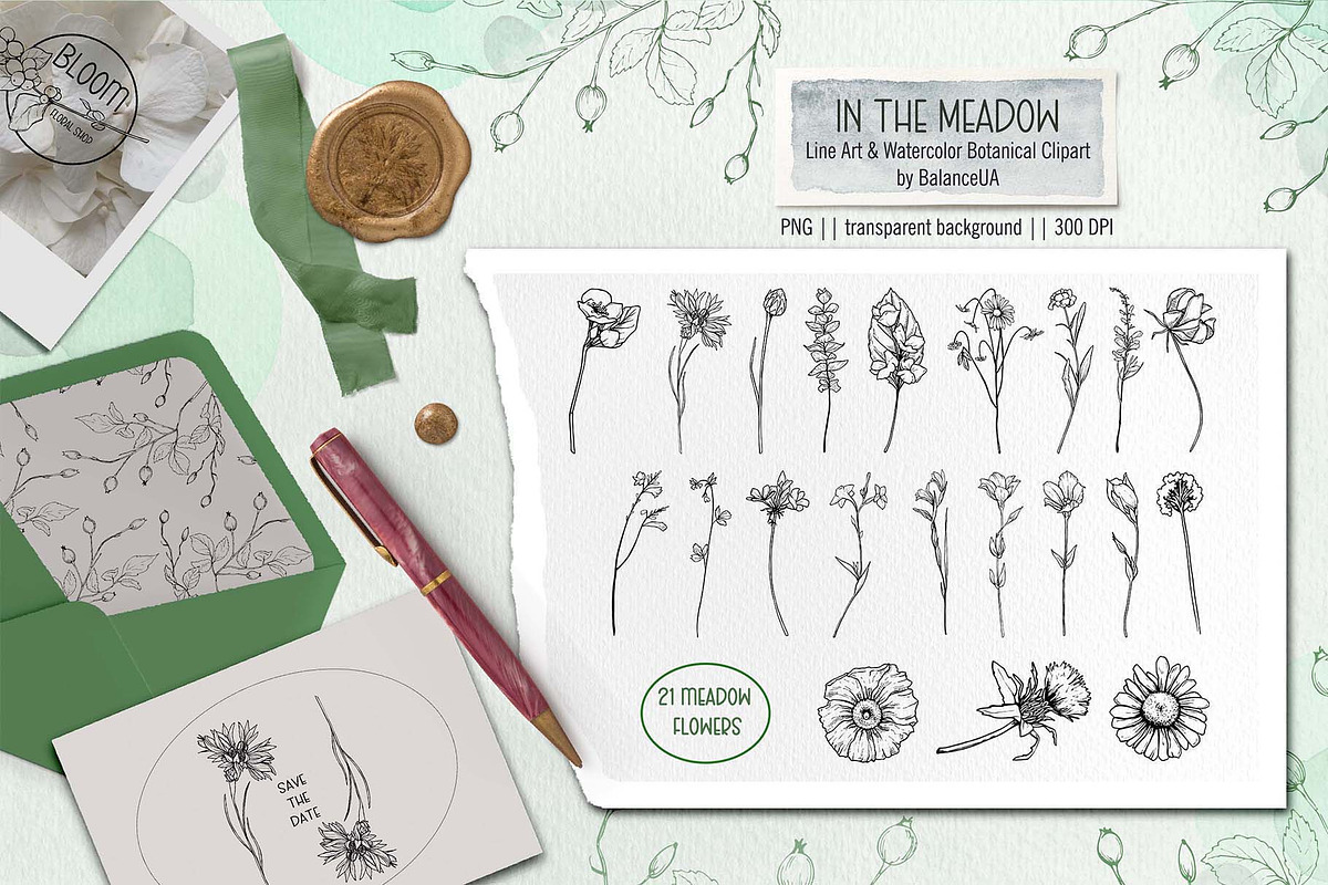 Wildflower Line Art Clipart, a Decorative Illustration by BalanceUA (Photo 3 of 18)