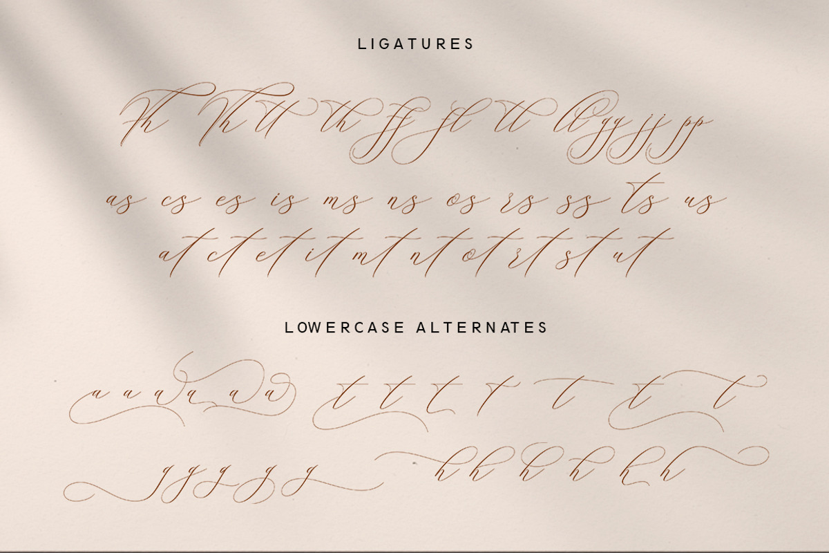 Beautiful in White, a Script Font by HKL Studio (Photo 10 of 12)