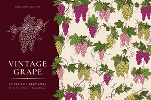 Vintage Grape Vector set Wine Labels