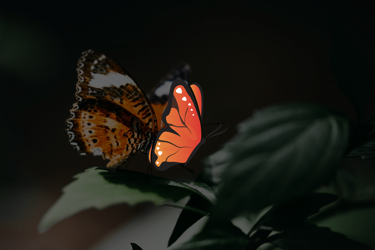 Minimalist Modern Butterfly Logo, a Branding & Logo Template by Luxury Logos (Photo 2 of 4)