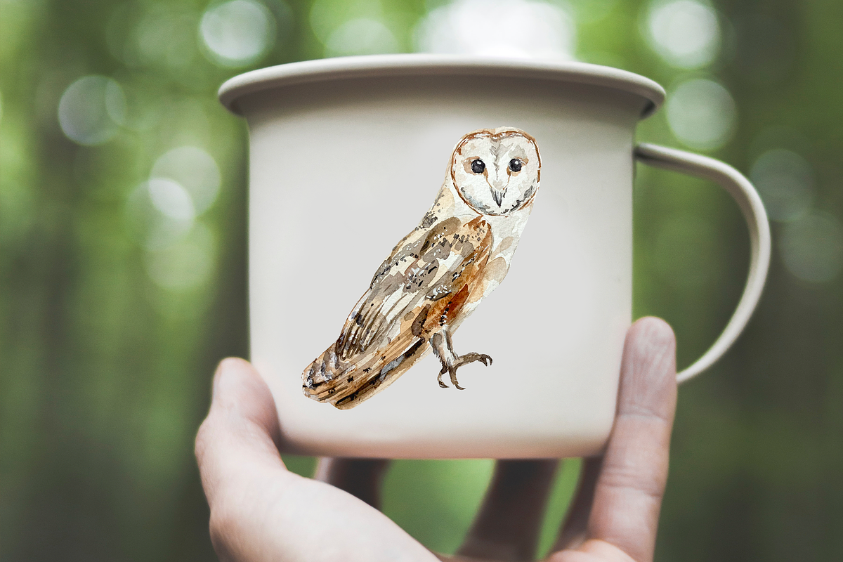 Owl Life Cycle Clip Arts and Print, an Education Illustration by Tati Bordiu (Photo 3 of 5)