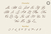 Velouria Script, a Script Font by Setara Langit CreativeStd (Thumbnail 12 of 12)