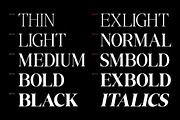 Compart Pyapari, a Serif Font by Glyphminds Studios (Thumbnail 2 of 10)