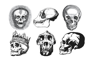 Vintage Skull Set 1 Procreate Brush