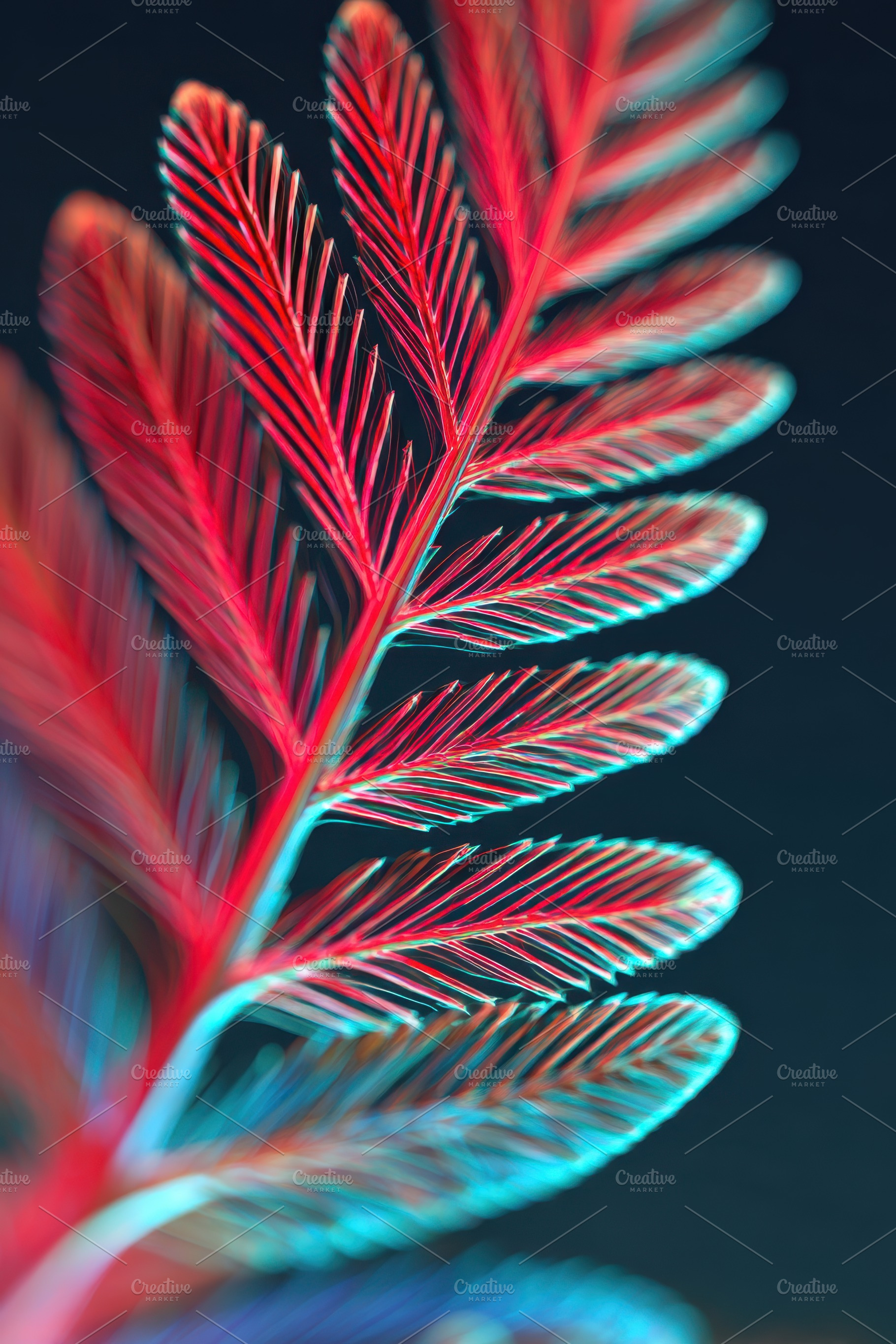 Vibrant fern leaf close-up in red and blue, a Nature Photo by AlyaAnd