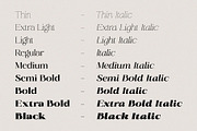 Radiant Charisma - Serif Family, a Serif Font by Prioritype Co (Thumbnail 10 of 10)