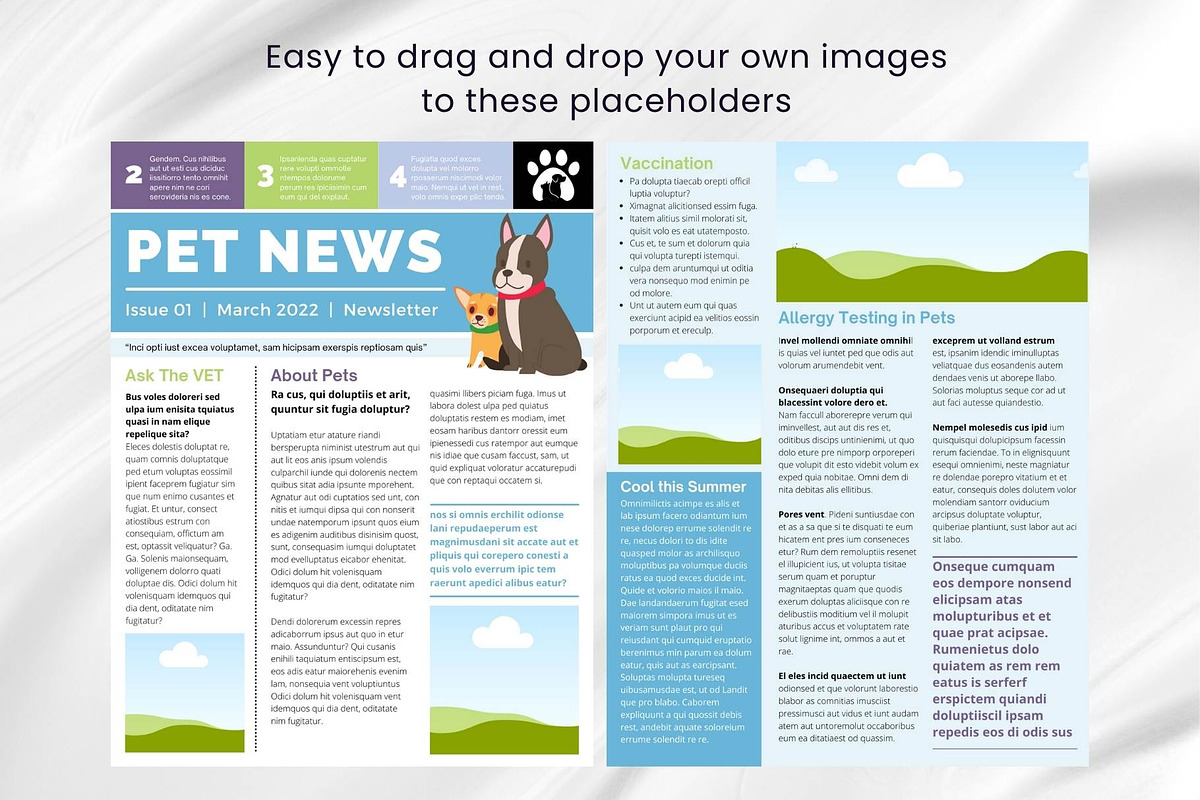 Canva Newsletter Template Pet Care, an Email Template by PixelCraft (Photo 10 of 15)