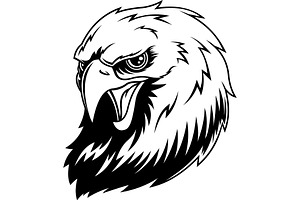 Bald Eagle Head In Black And White, an Illustration by HitToon