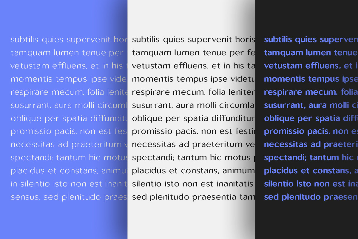 Sallona - Variable Sans Serif Font, a Sans Serif Font by MasaType (Photo 9 of 10)