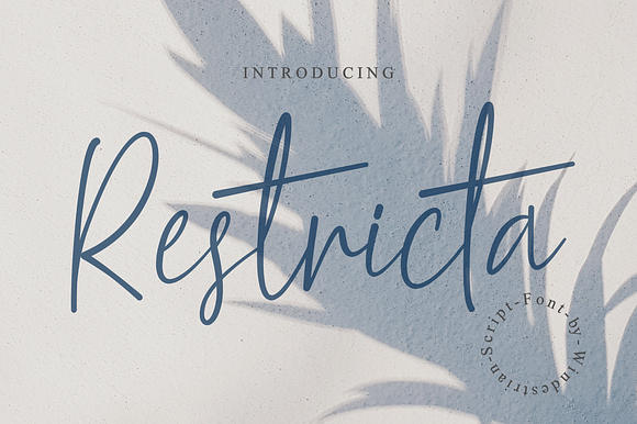 Restricta | Script Font preview 7