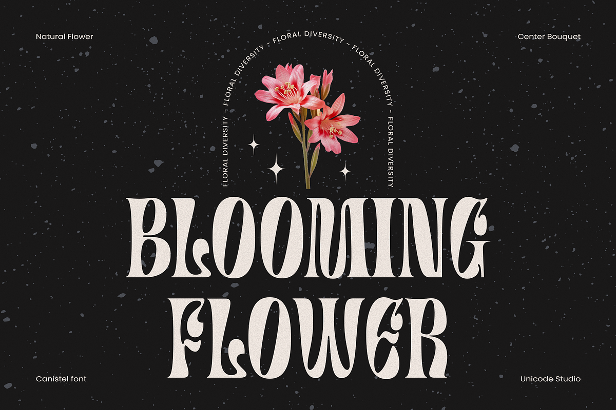Canistel - Display Serif Font, a Serif Font by Unicode Studio (Photo 8 of 13)