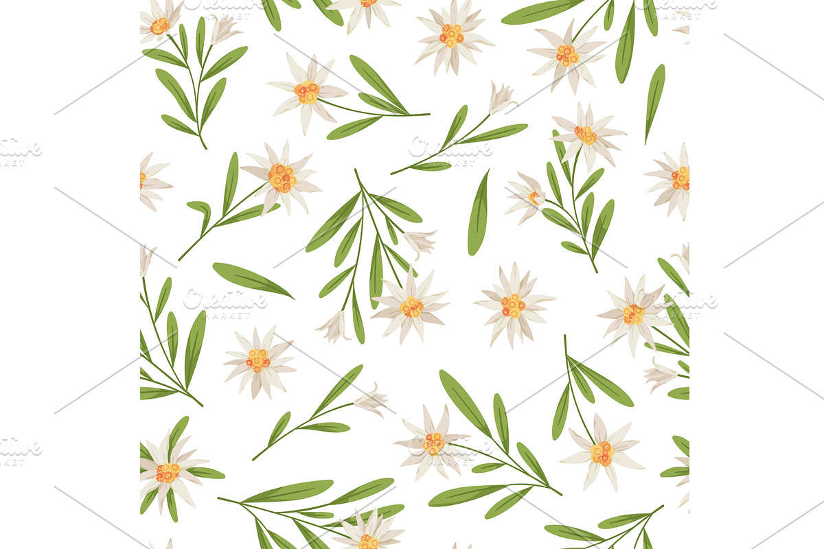 Edelweiss seamless pattern. Repeated, an Object Illustration by YummyBuum