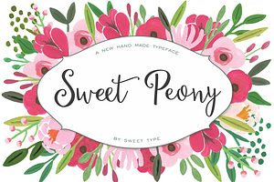 Sweet Peony