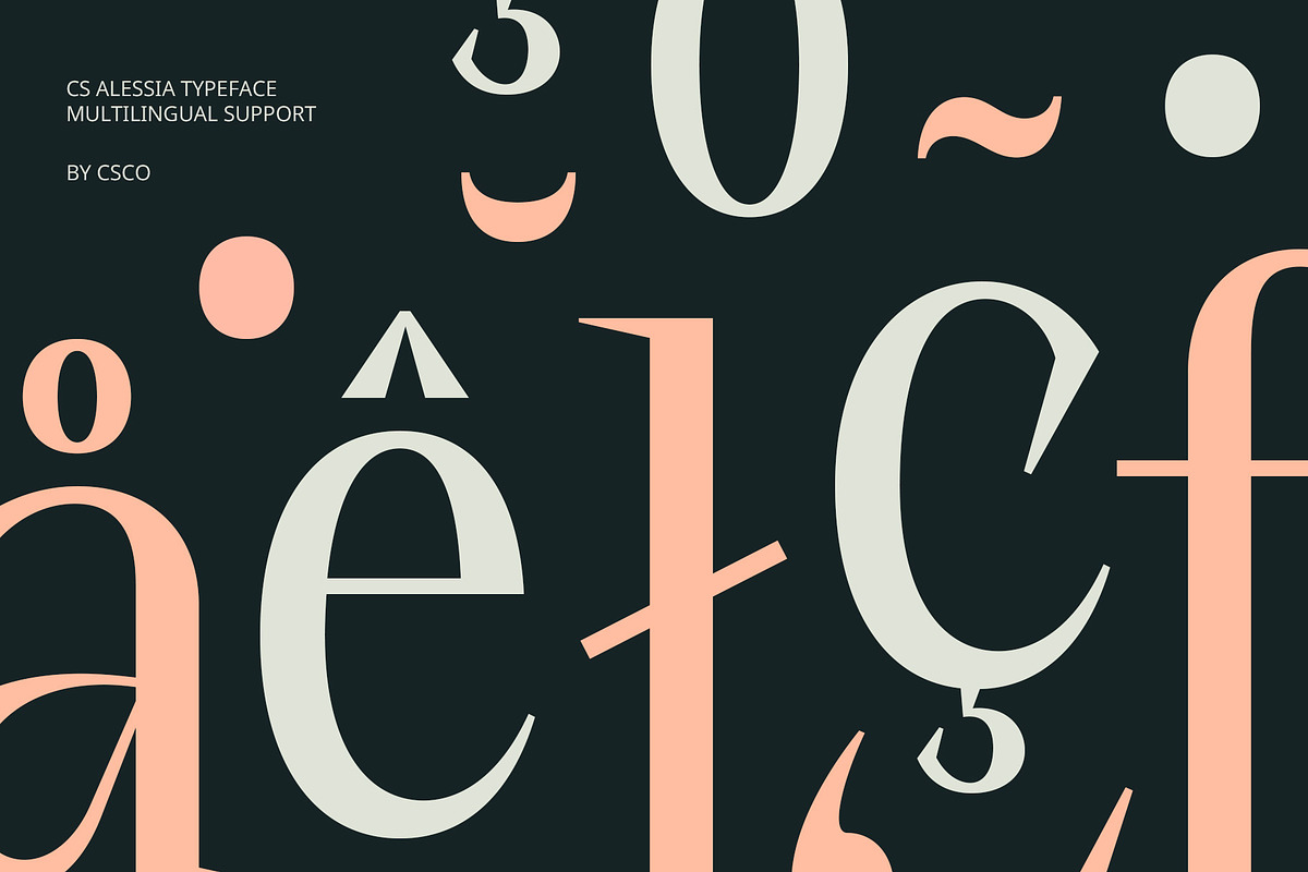 CS Alessia – Elegant Font, a Serif Font by Craft Supply Co. (Photo 3 of 8)