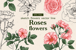 Flowers Roses. Sketch Vector